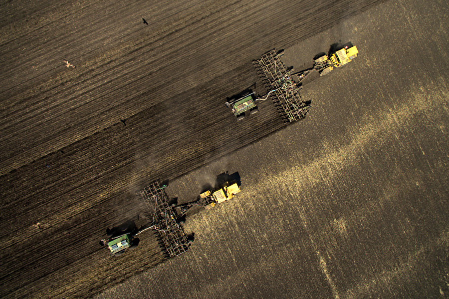 Mesin-mesin pertanian menabur serealia (tanaman rumput-rumputan yang bijinya digunakan sebagai makanan manusia, seperti padi dan gandum) di Oblast Novosibirskaya.