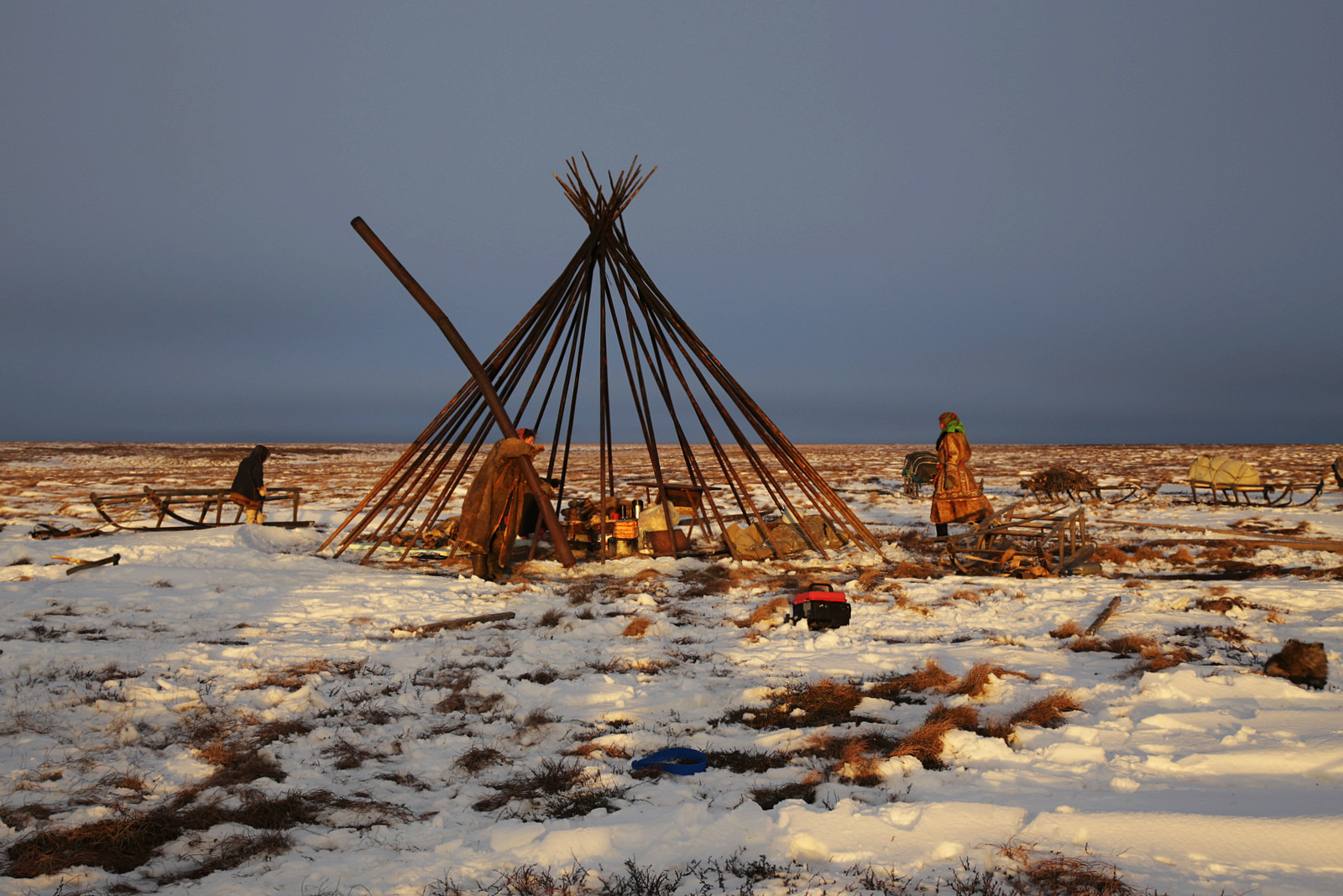 Pembongkaran chum, rumah tradisional suku Nenet.