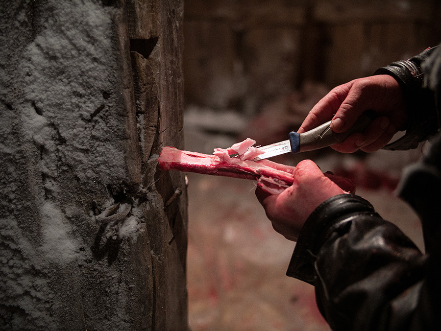 Frozen bone marrow is a prized delicatessen in the tundra
