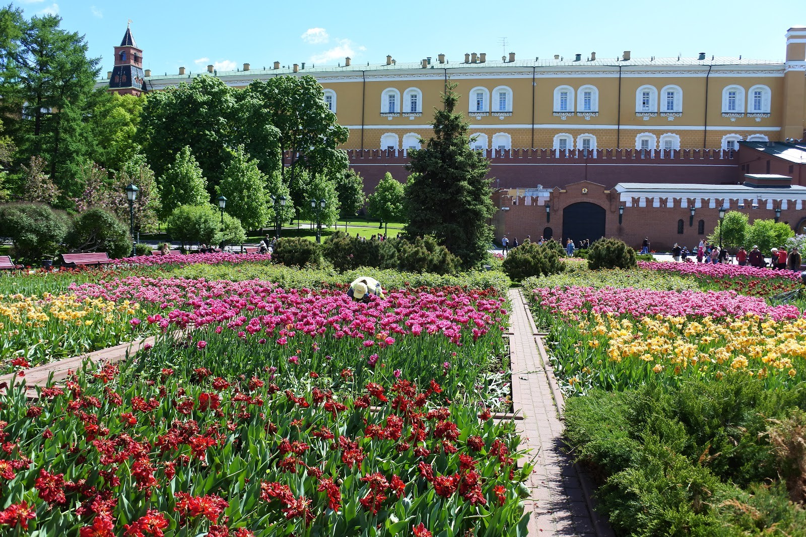 Aleksandrovski vrt ob Kremlju