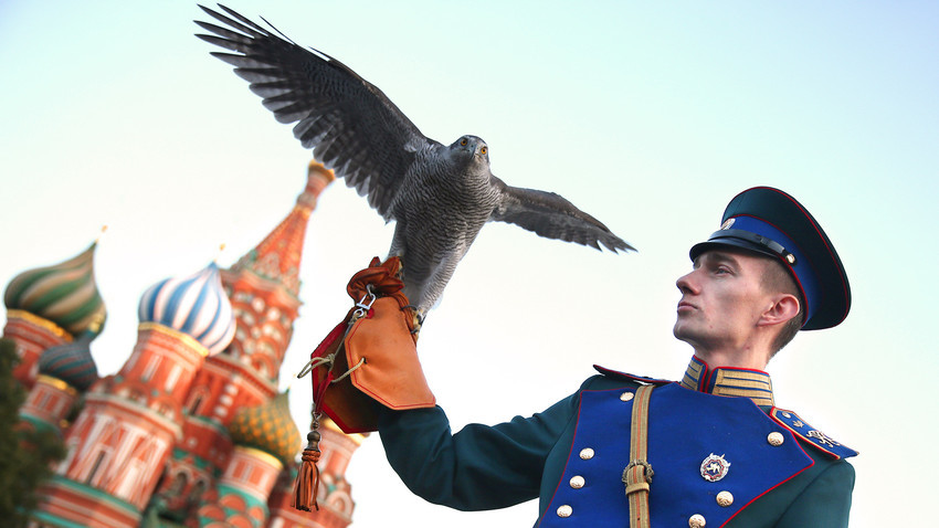 Un miembro del servicio de ornitología del Kremlin en la ceremonia de clausura del Festival Internacional de Música Militar de la Torre Spasskaia en la Plaza Roja.