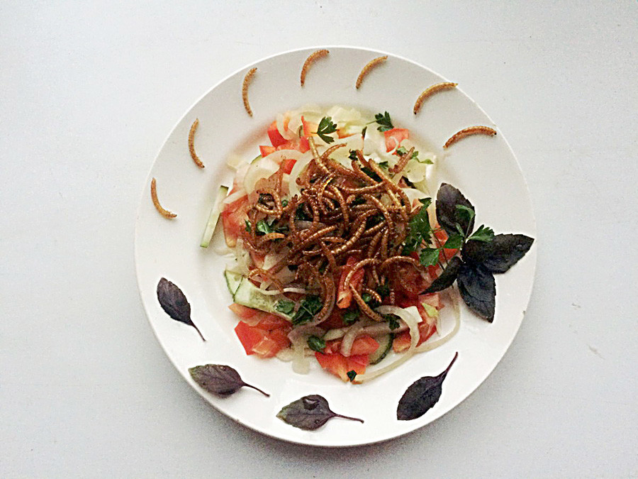 Salad with mealworm 