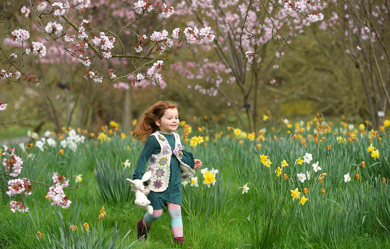 Seorang gadis cilik bermain di antara bunga-bunga musim semi menjelang Festival Paskah di Kew Gardens di London Barat, 30 Maret 2017. 
