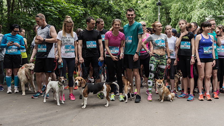 Run For Dogs marathon participants and their pets in Kuzminki Park, Moscow. 