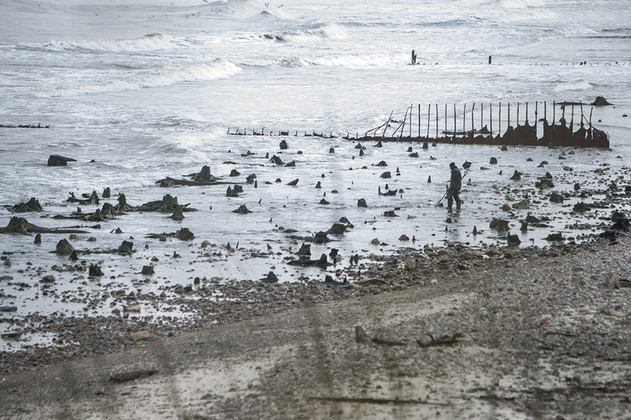 Ancient forest emerges from the Baltic Sea (PHOTOS) - Russia Beyond