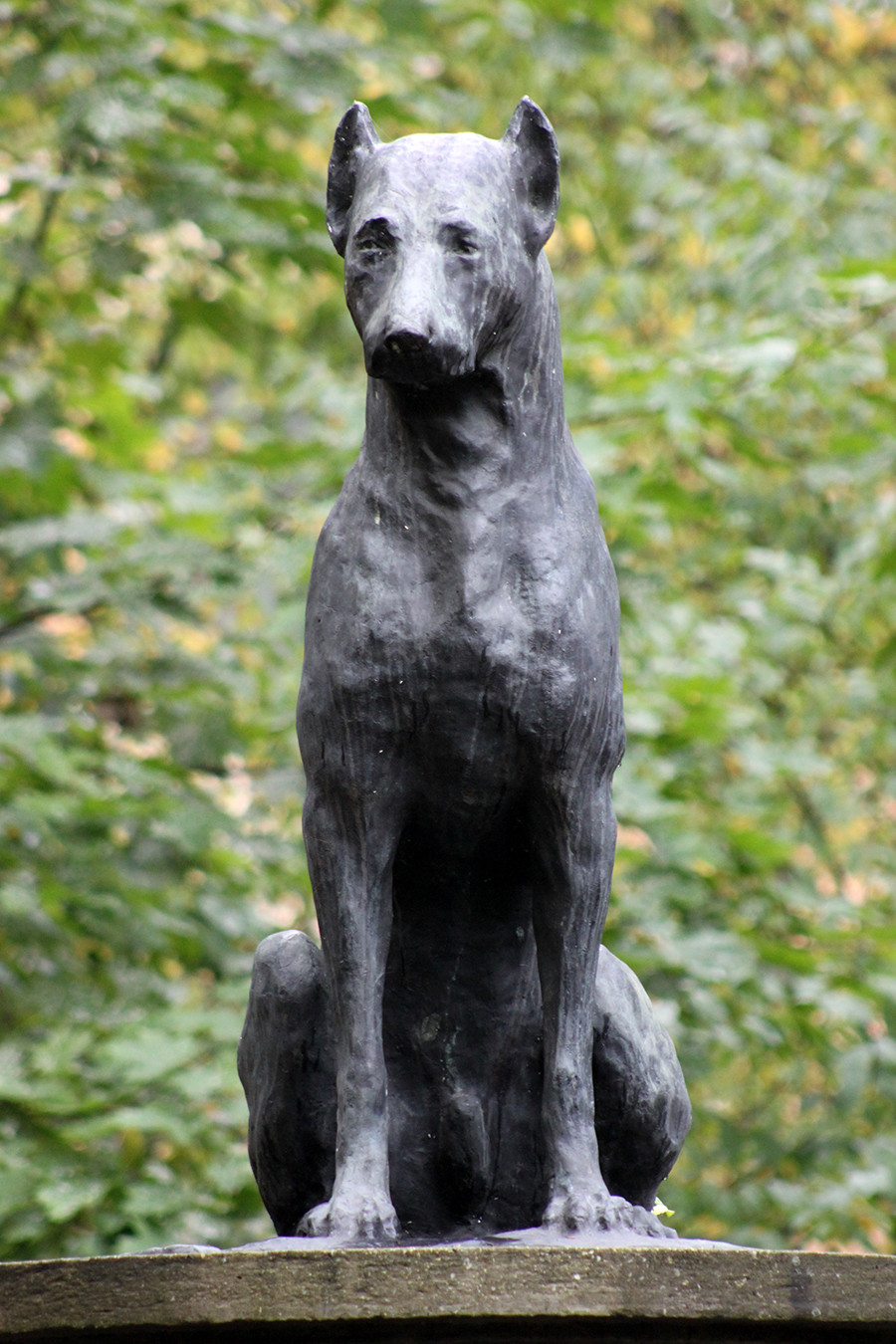 Das Denkmal für den Pawlow'schen hund in Sankt Petersburg von 1935 ist das älteste Tierdenkmal in ganz Russland.