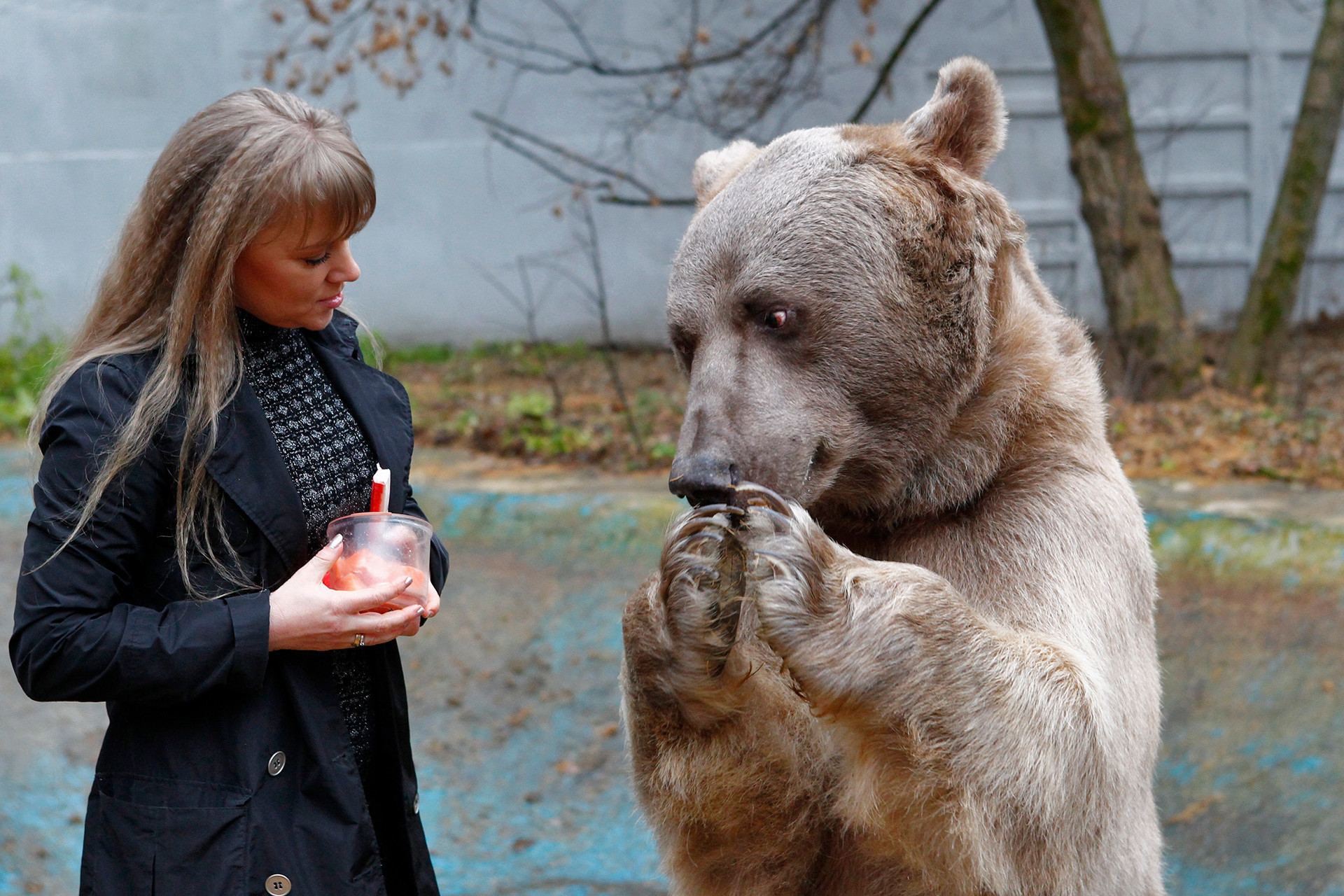 5 Famous Russian Bears Russia Beyond