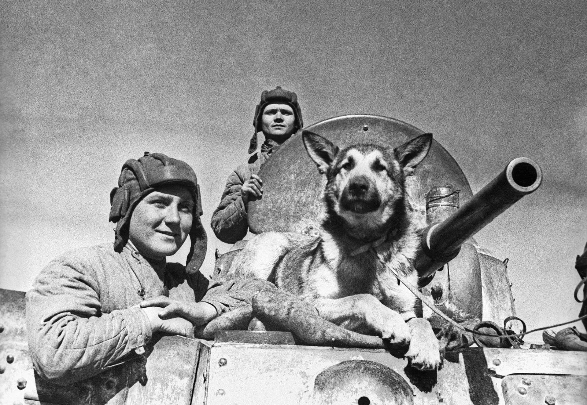 Екипажът на съветския бронеавтомобил БА-10: старши сержант Е. П. Ендрексон, сержант В. П. Поршаков, Т. Д. Деренко и овчарката Джулбарс.