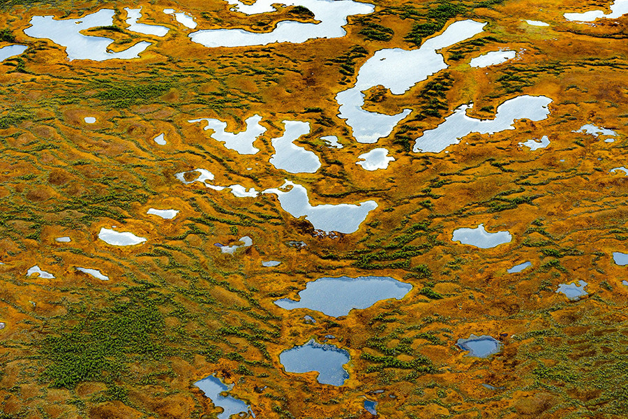 The Vasyugan Mire is the largest swamp in the northern hemisphere