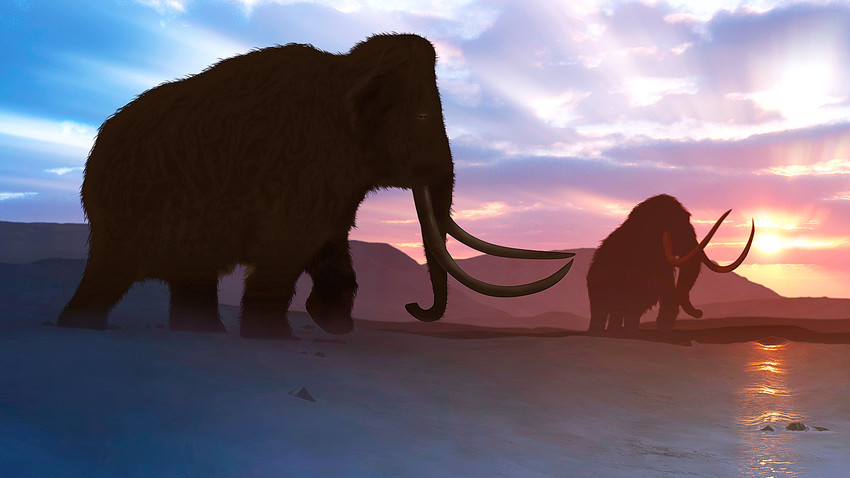 A certain type of damage in mammoth DNA might have contributed to their extinction.