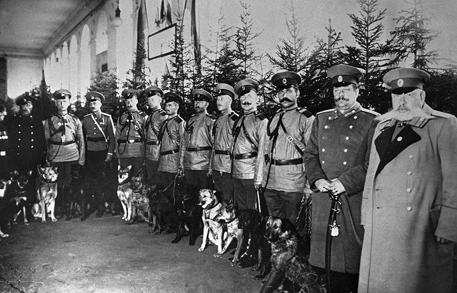 Demonstração de cães policiais, em 1914