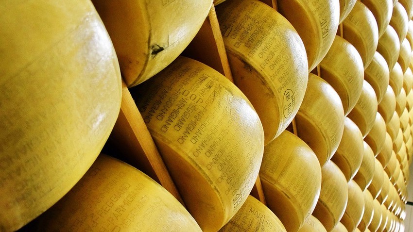 Ko se je na ruskem trgu zaprl dostop za italijanski parmezan, se je podjetnik Oleg Sirota spomnil, da bi lahko izdelovali rusko različico priznanega sira.