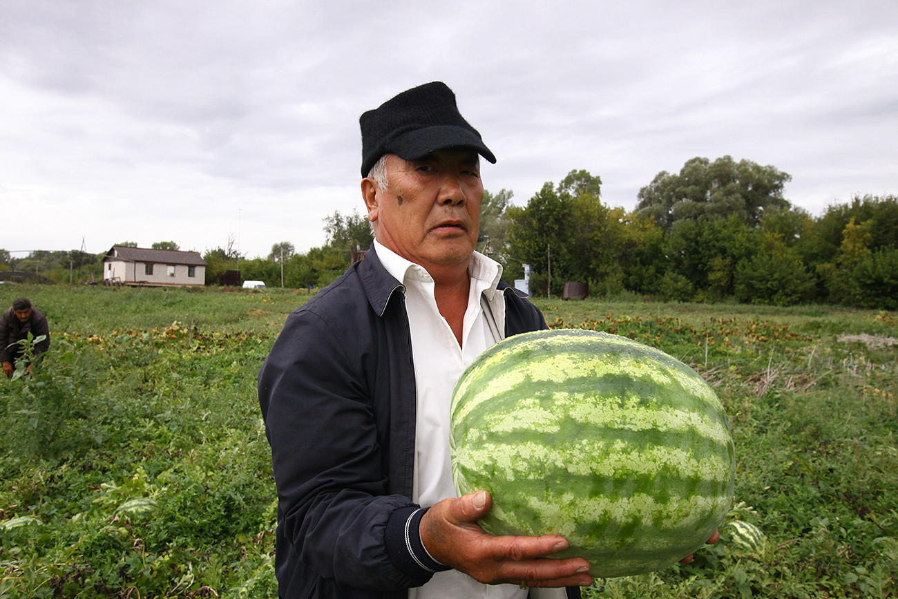 Sebagai birokrat yang beralih menjadi petani, Sim Oyra adalah perintis semangka Bashkortostan.
