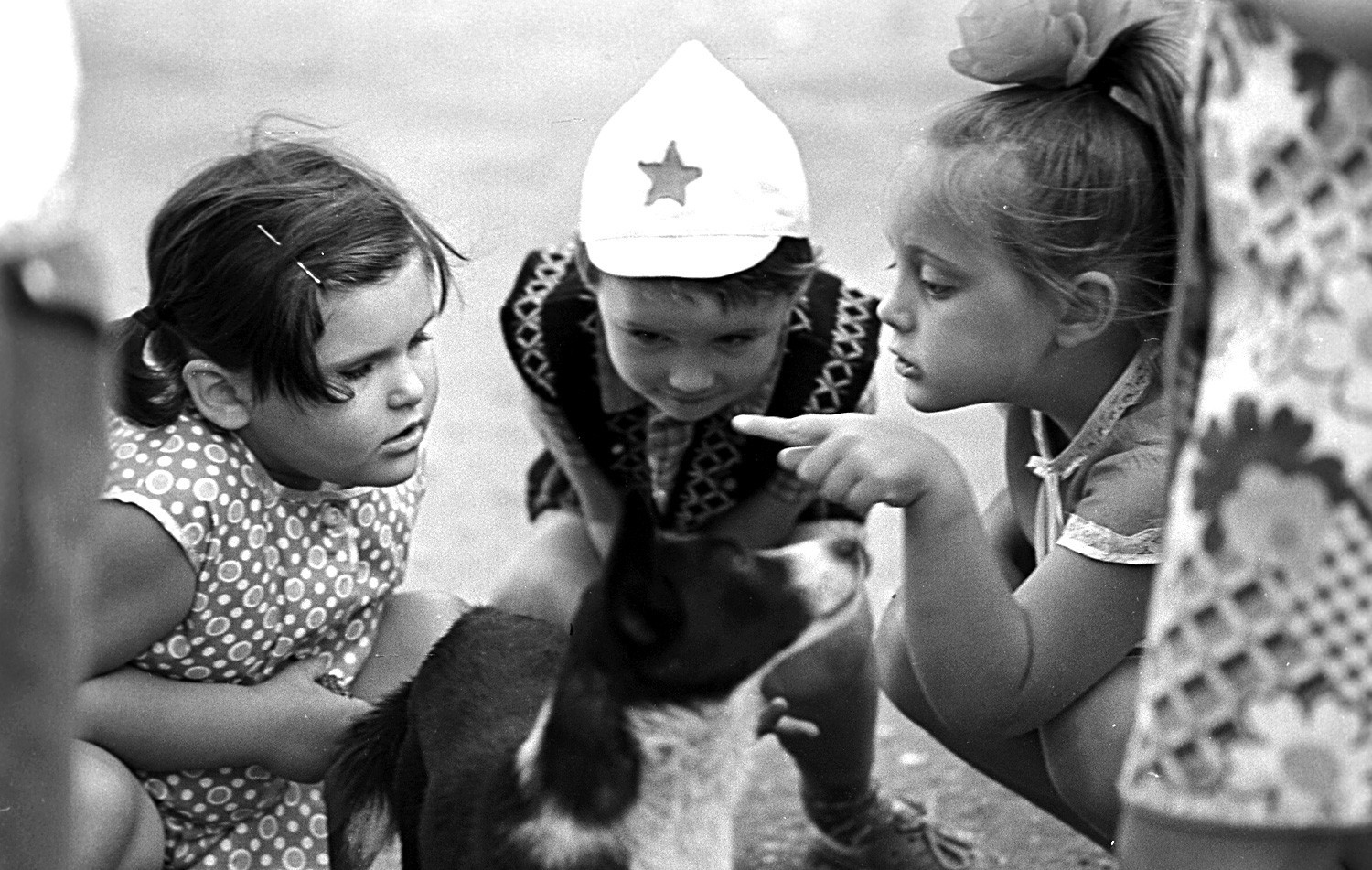 Anak-anak bermain dengan seekor anjing, Krimea. 