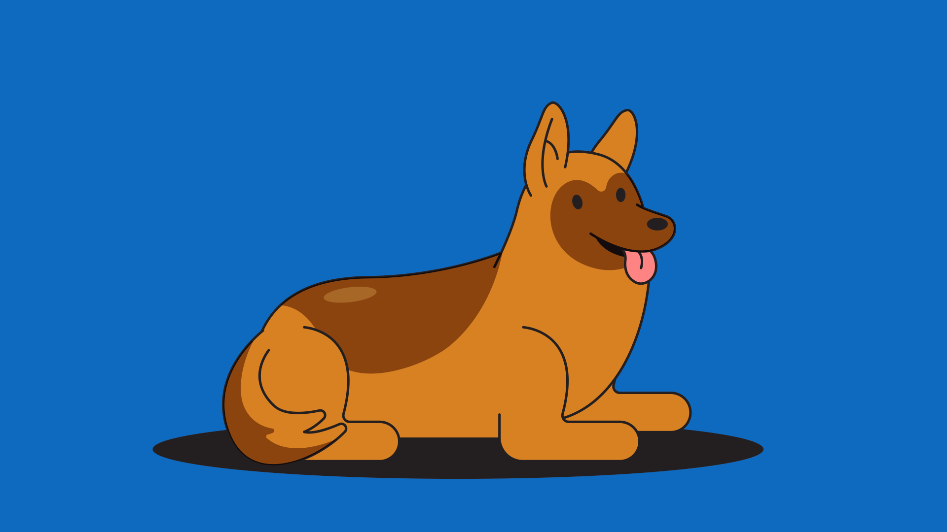 What are the 10 most popular dog breeds among Russians? Russia Beyond