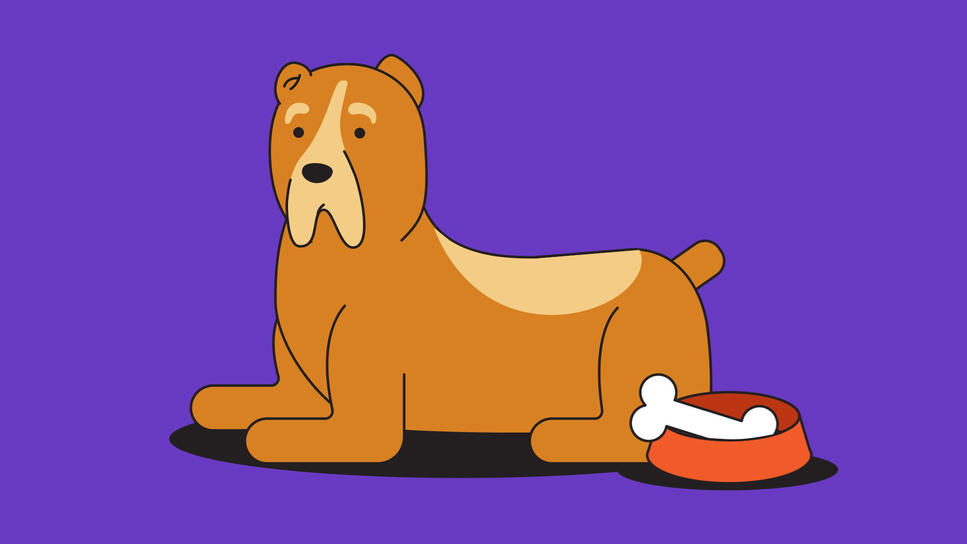 What are the 10 most popular dog breeds among Russians? Russia Beyond