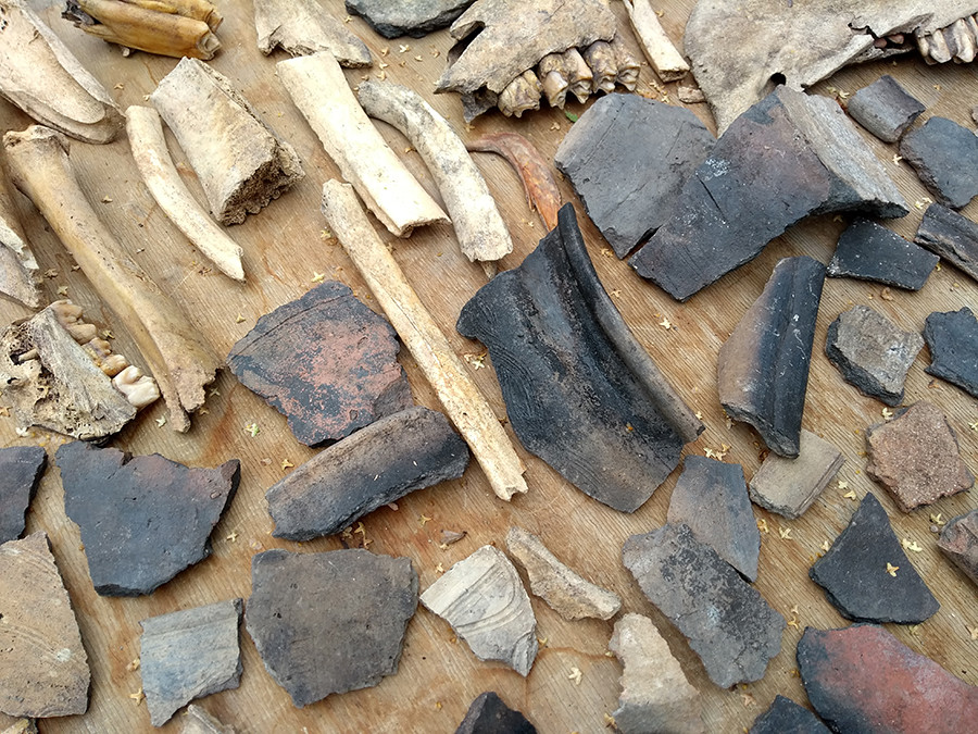 Ceramic and wooden crumbs found during excavations.