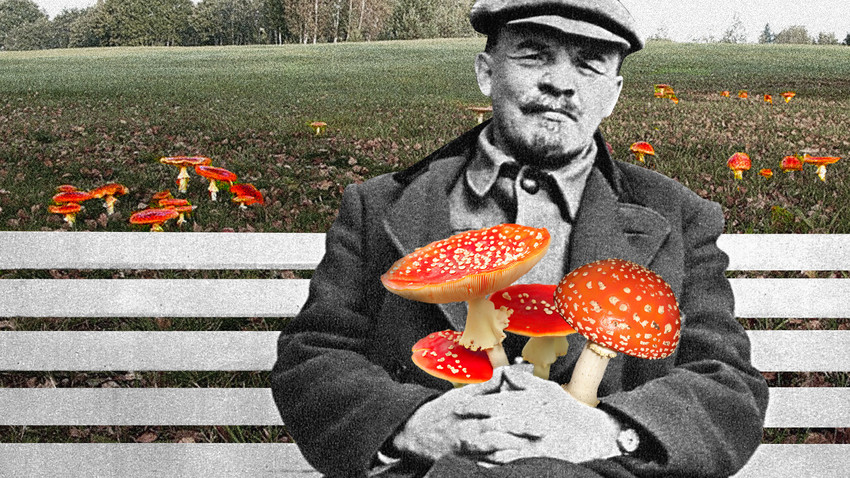 Once people heard on the TV that Vladimir Lenin's relations with mushrooms were a bit more complicated than everyone thought, the Soviet audience was shocked. 