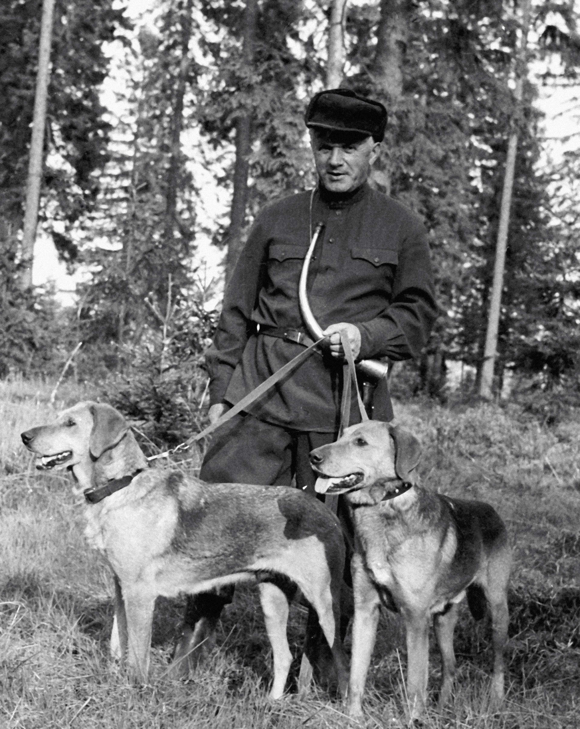 Ловец и неговите кучета - руски хрътки, на име Шугай и Копейка