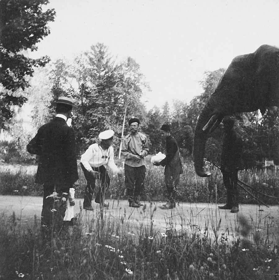 O tsar Nikolai 2° e seu elefante favorito.