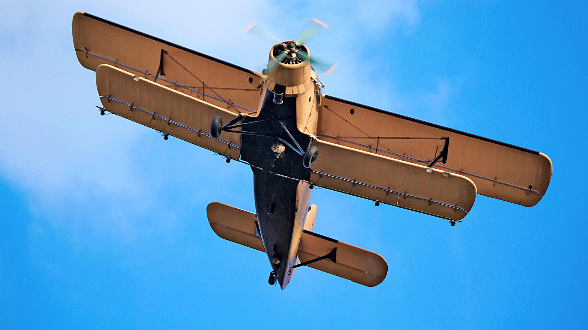 Die legendäre An2 Ein Flugzeug, das rückwärts fliegen kann (BILDER