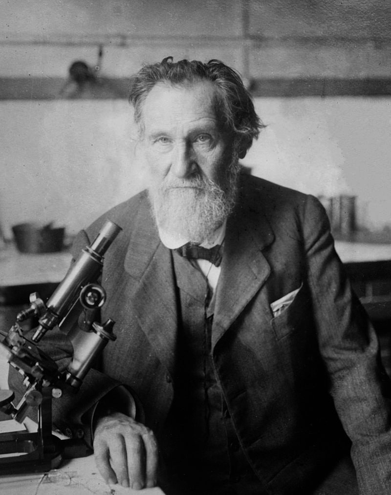 Ilya Mechnikov had been credited for the development of the cellular defense theory