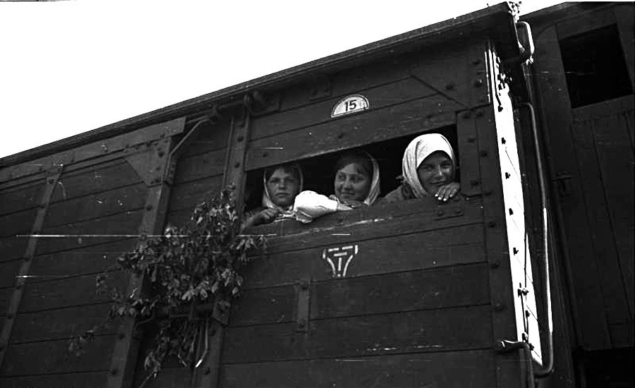 Русија, Украина. Депортација на цивили со воз, жени во товарни вагони, веројатно лето 1942 година.