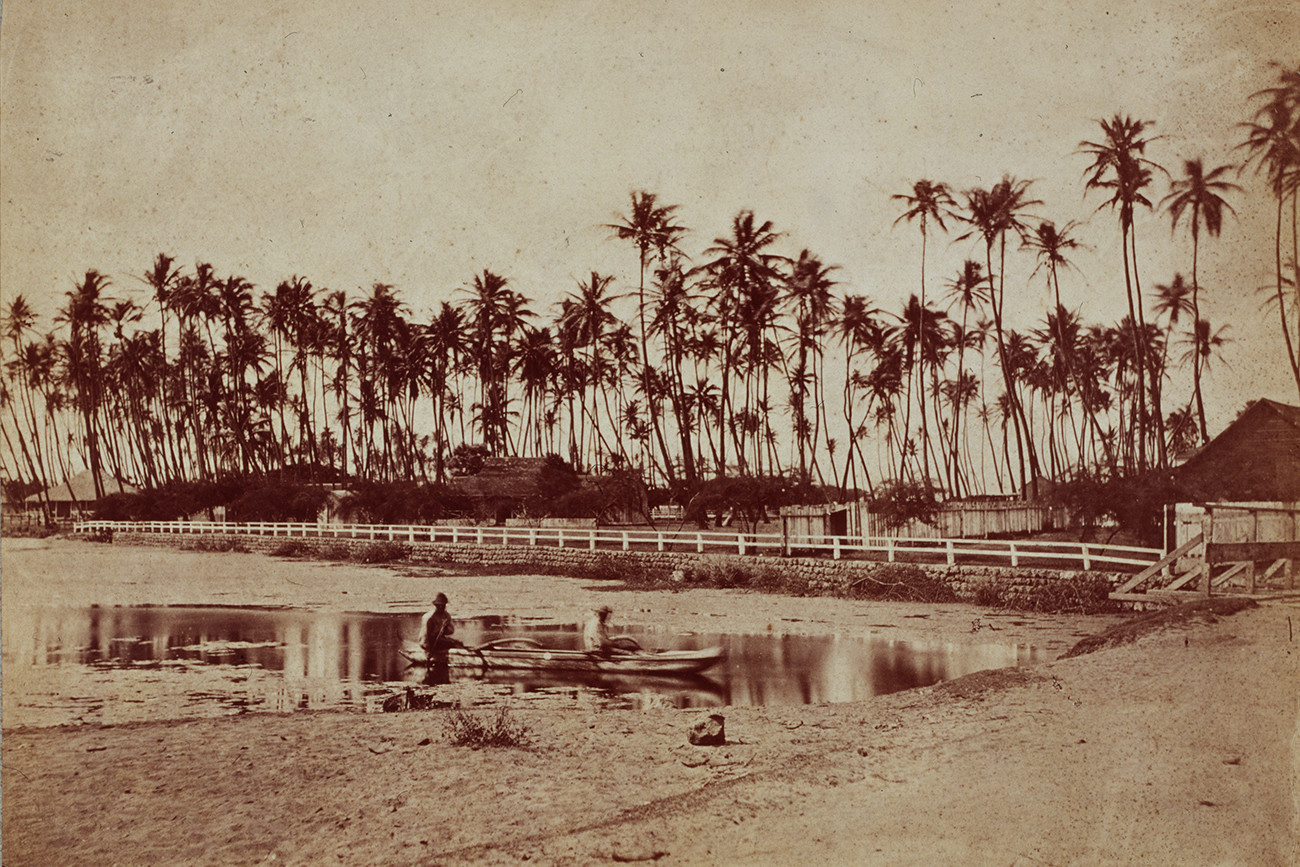 Deux hommes rament à bord d’une pirogue dans un étang devant des cocotiers. Waïkiki, Hawaï, octobre 1890