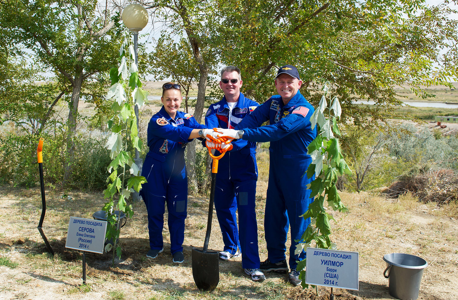 2014年9月17日。Soyuz TMA-14Mのクルー、ロスコスモスの宇宙飛行士アレクサンドル・サモクチャエフ（中央）、エレナ・セロワとNASAの宇宙飛行士、バリー・ウィルモアがバイコヌール宇宙基地で木を植える。