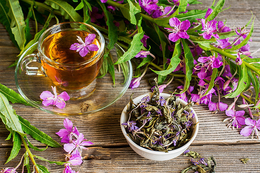 Cinq plantes sauvages à infuser dont les Russes raffolent Russia — free download
