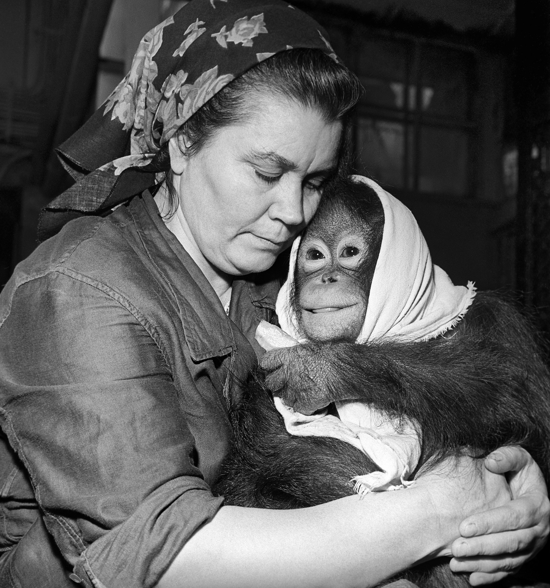 モスクワ動物園の職員とサル。1969年。