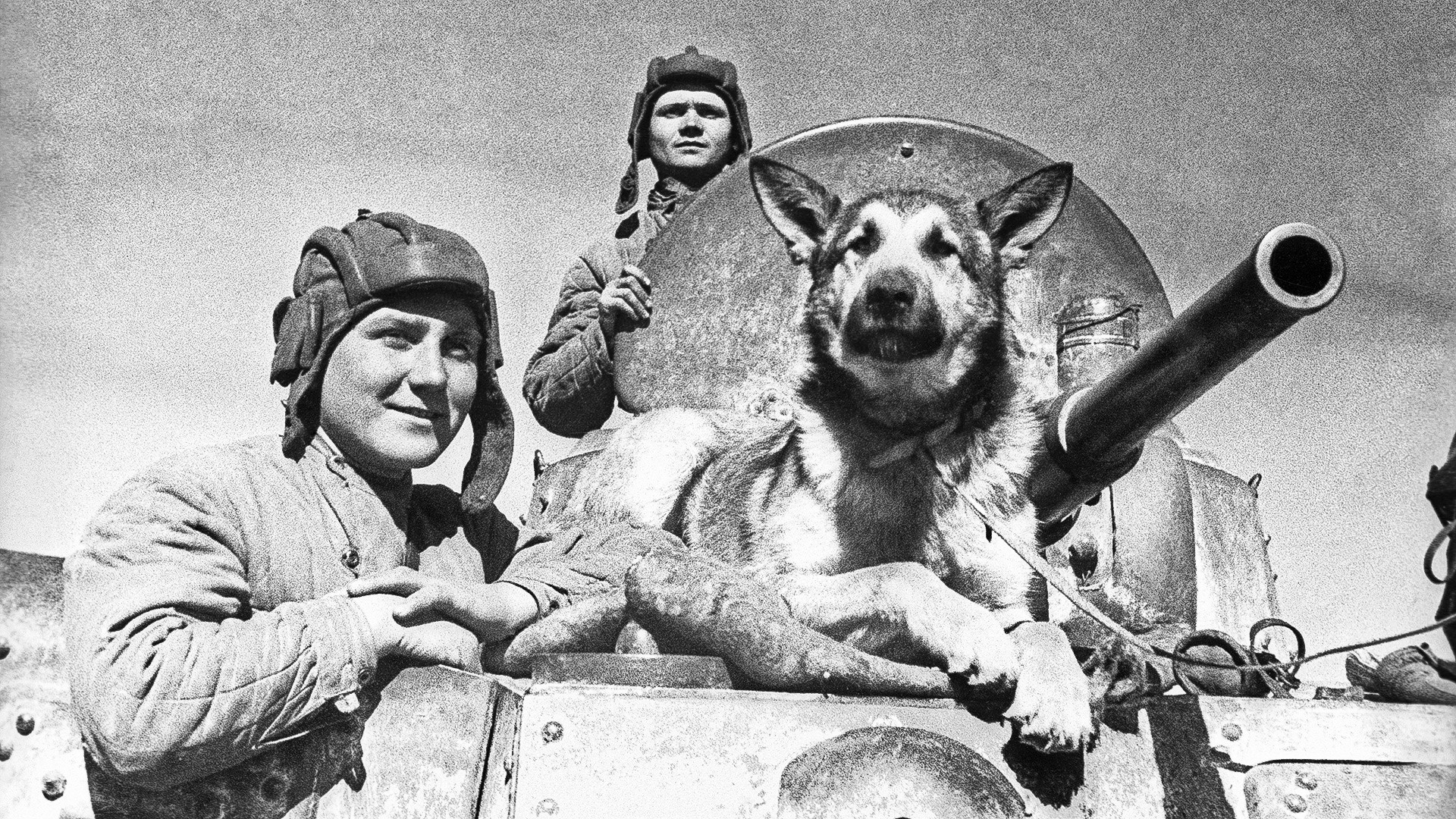 Južna fronta med drugo svetovno vojno: ekipa oklepnega avta s psom Džulbarsom