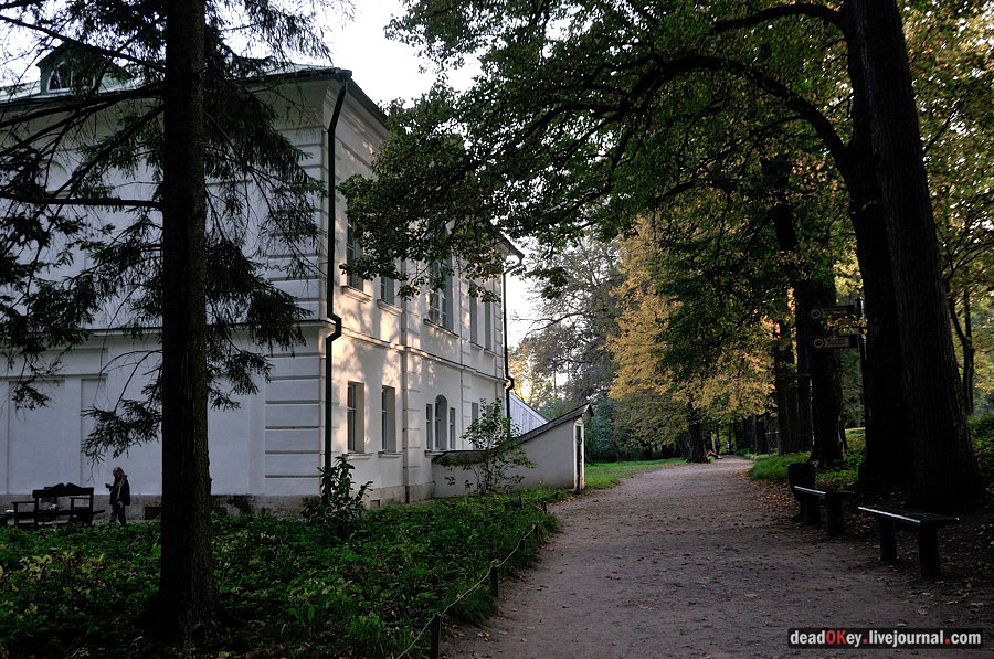 Otto cose da sapere sulla Tenuta di Tolstoj a Jasnaja Poljana Russia
