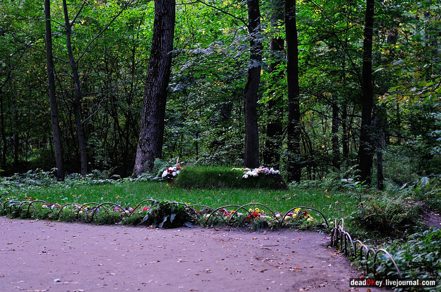 Otto cose da sapere sulla Tenuta di Tolstoj a Jasnaja Poljana Russia