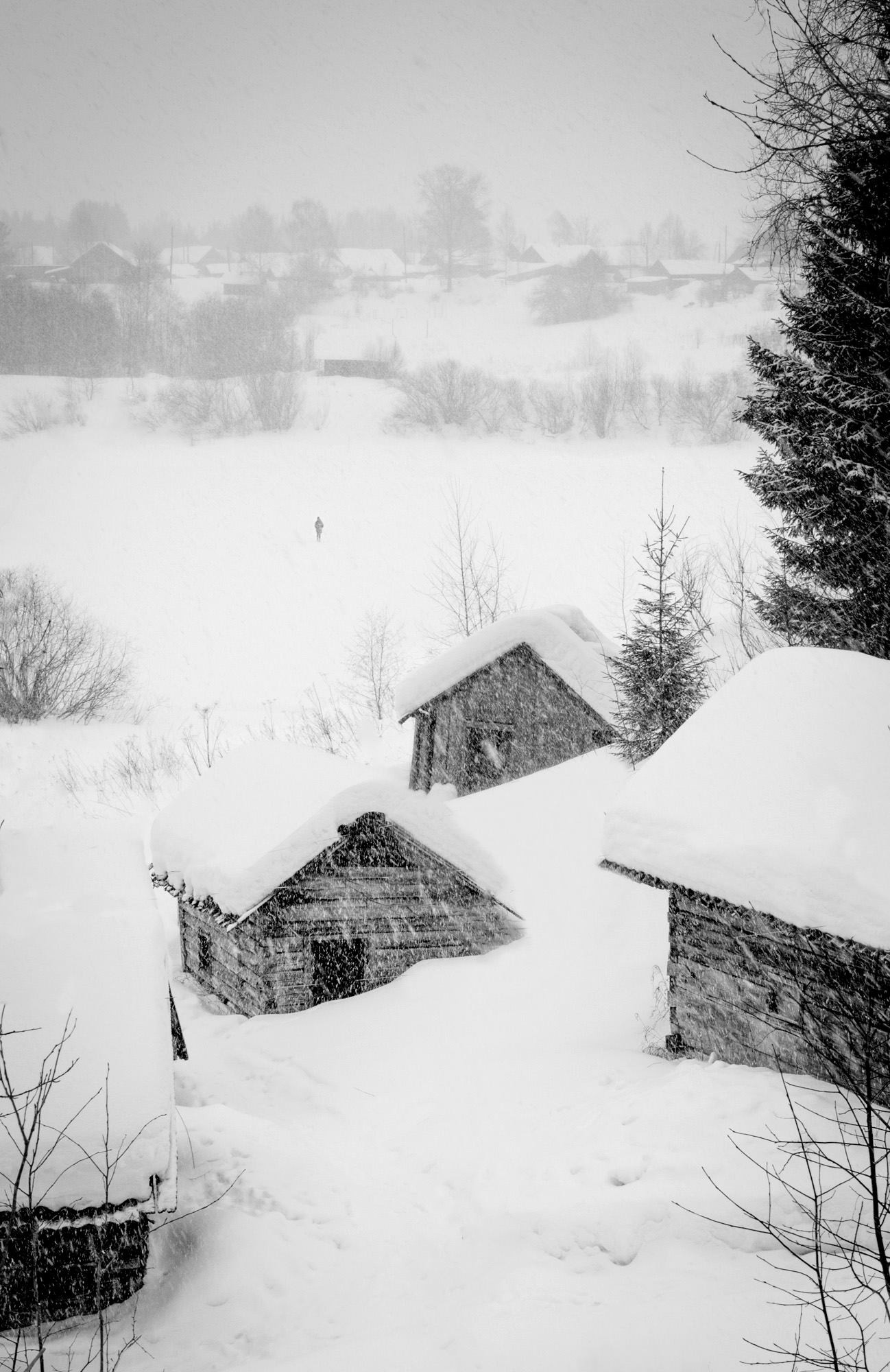 Rumah-rumah yang ditinggalkan di desa Shelokhovskaya.