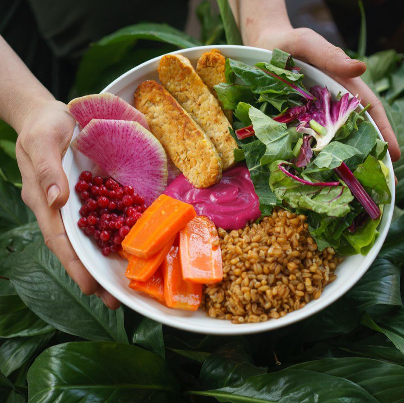 Dining with a conscience A guide to vegan and vegetarian St