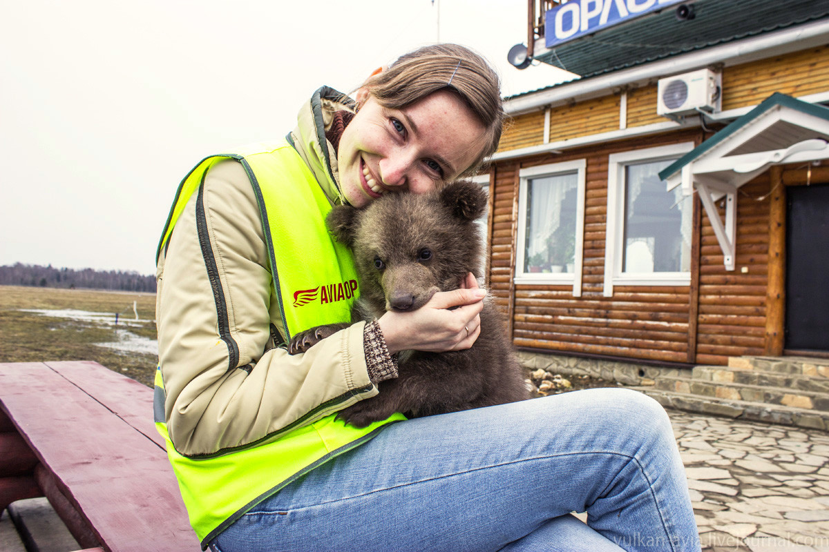 パイロットとともにロシアの空港に暮らすクマ ロシア・ビヨンド