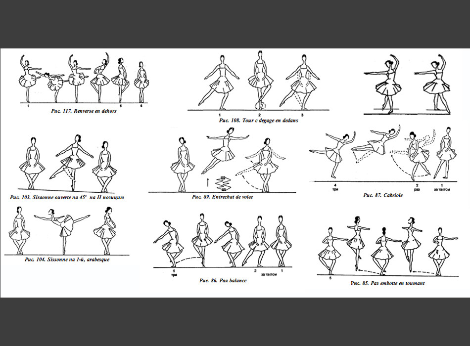 Una copia de “Principios básicos del ballet clásico”