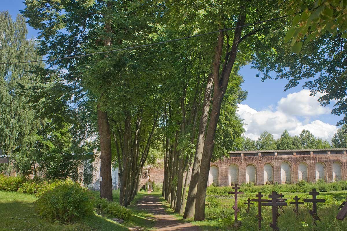 Monastery of Sts. Boris & Gleb. Cemetery, linden alley, east wall with shrine of St. Irenarch. July 6, 2019