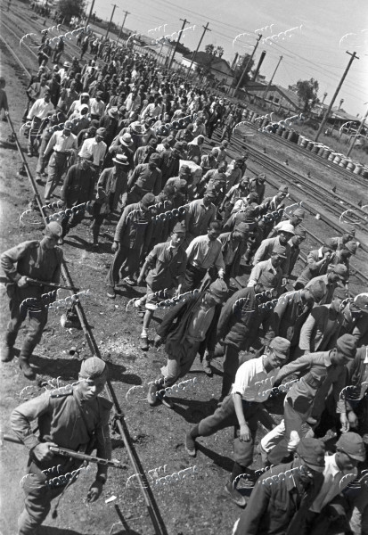 Советско-јапонска војна (9 август – 3 септември 1945). Прв далекоисточен фронт, капитулација на Квантунската армија, 1945 година.