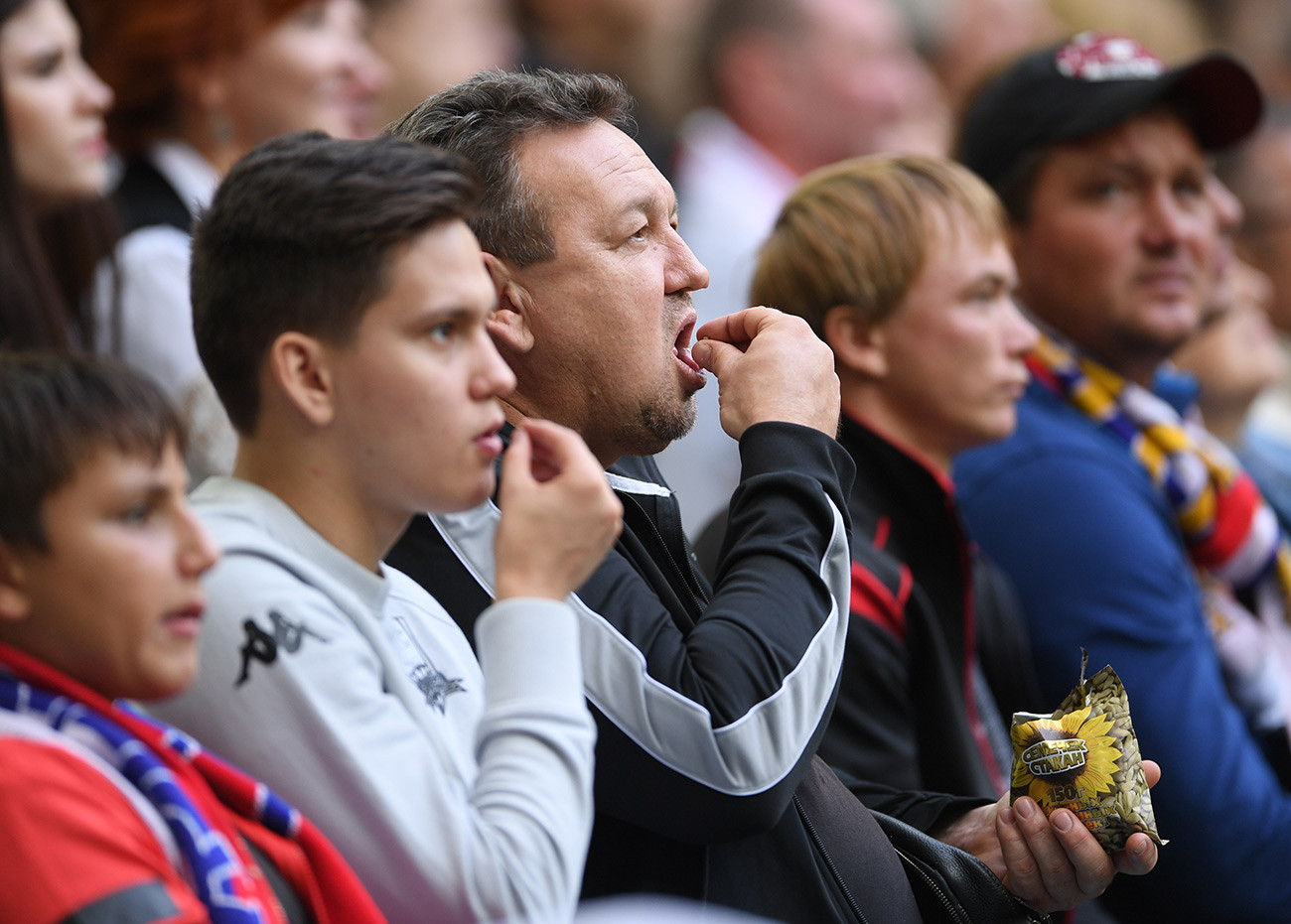 Russian national football team fans eating sunflower seeds during a game with Costa-Rica. 