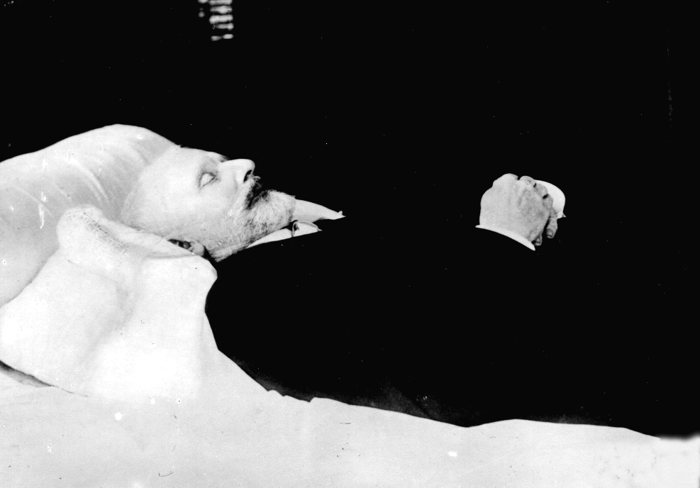 P. I. Čajkovski na smrtni postelji, 1893