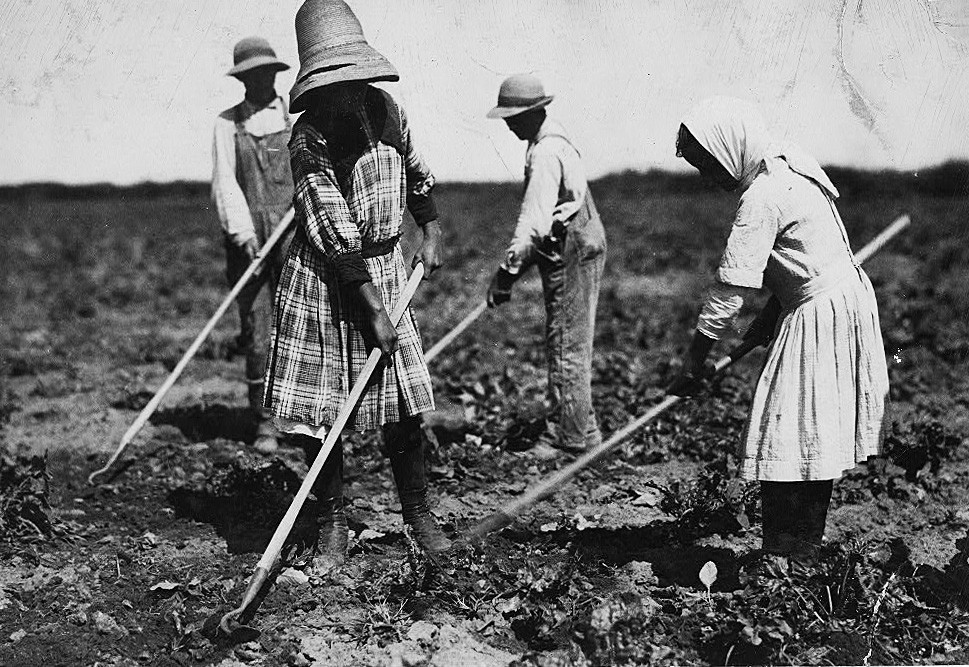 南ロシアから来た賃金労働者、コロラド州、1915年