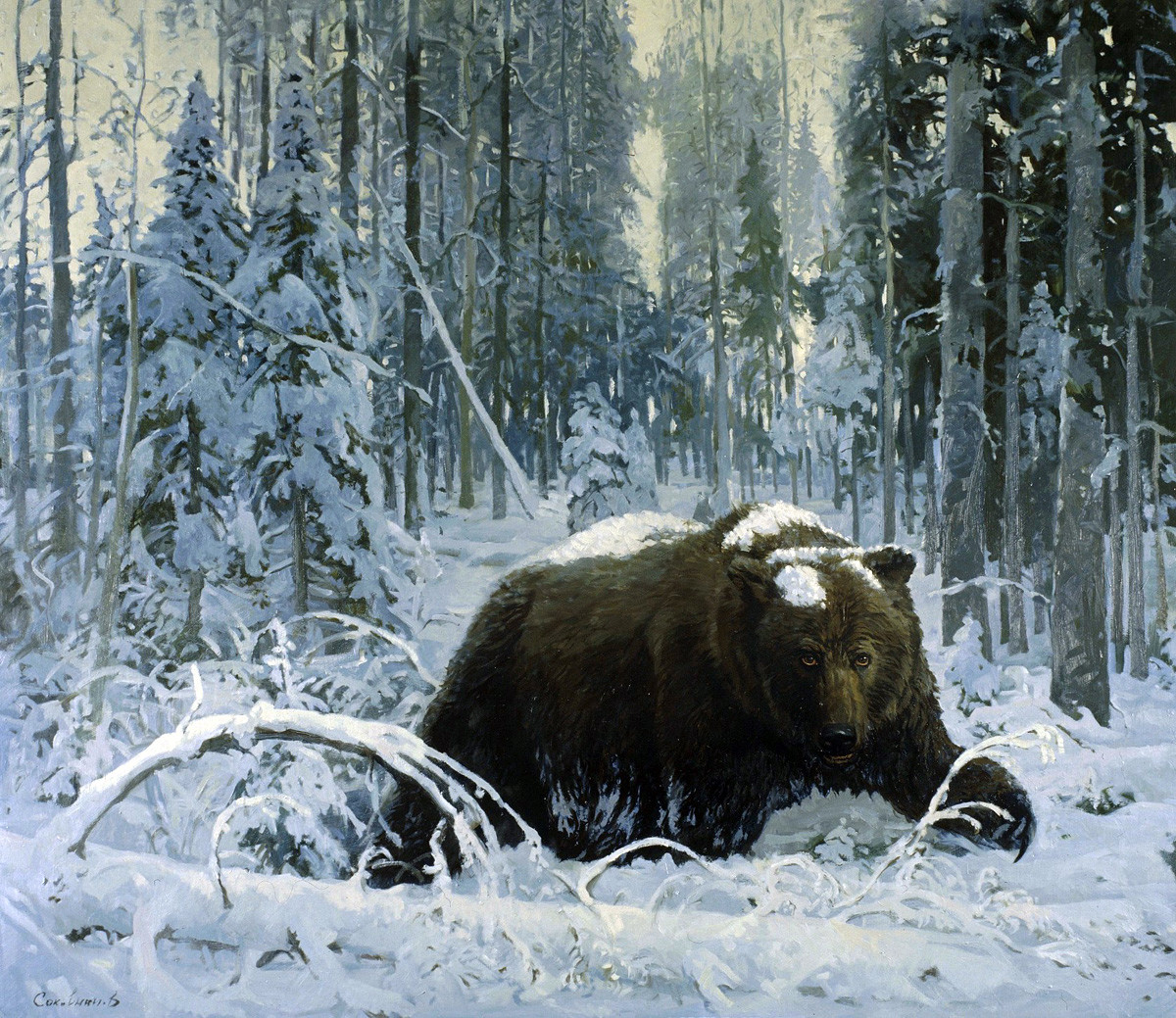 『冬眠用の穴から出てくる熊』ウラジーミル・ソコヴニン