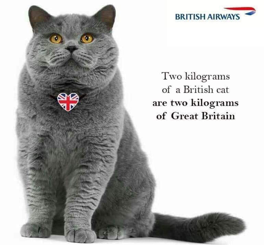 »Dva kilograma britanske mačke sta dva kilograma Velike Britanije. – British Airways«

