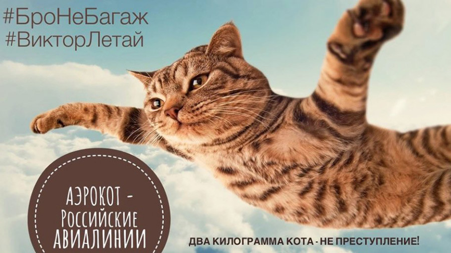 »#Prijateljniprtljaga #LetiViktor Dva kilograma mačke nista zločin. – Aeroflot, ruski letalski prevoznik«

the_cat_maffin

https://www.instagram.com/the_cat_maffin/