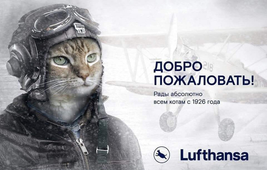 »Dobrodošli! Veseli smo prav vseh mačk že od leta 1926. – Lufthansa«

