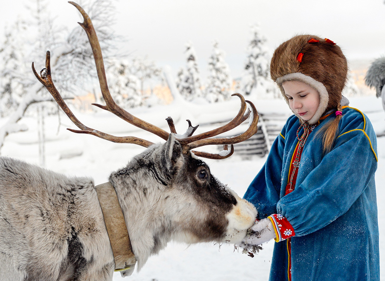 Une fillette nourrit un renne lors de la Journée internationale des Samis dans une communauté voisine appelée 