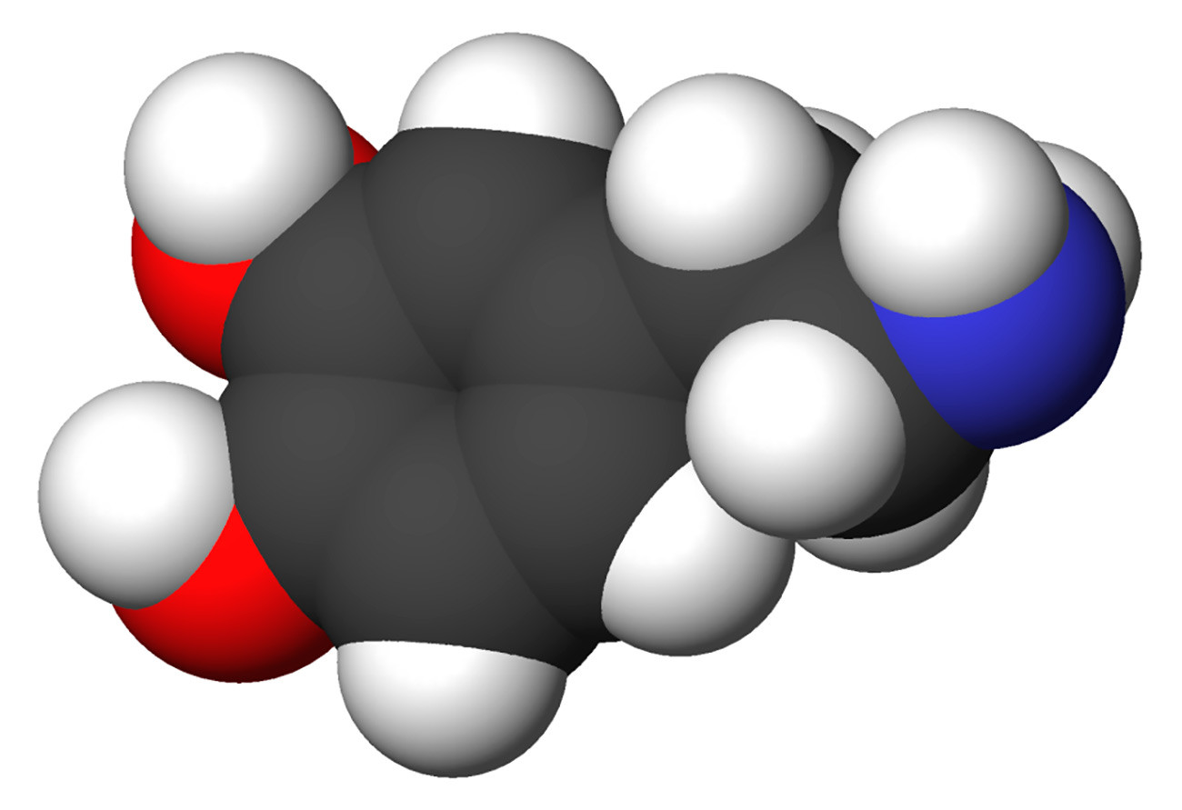 Space-filling model of the dopamine molecule, a neurotransmitter that affects the brain's reward and pleasure centers. Carbon - black, Hydrogen - white, Oxygen - red, Nitrogen - blue.
