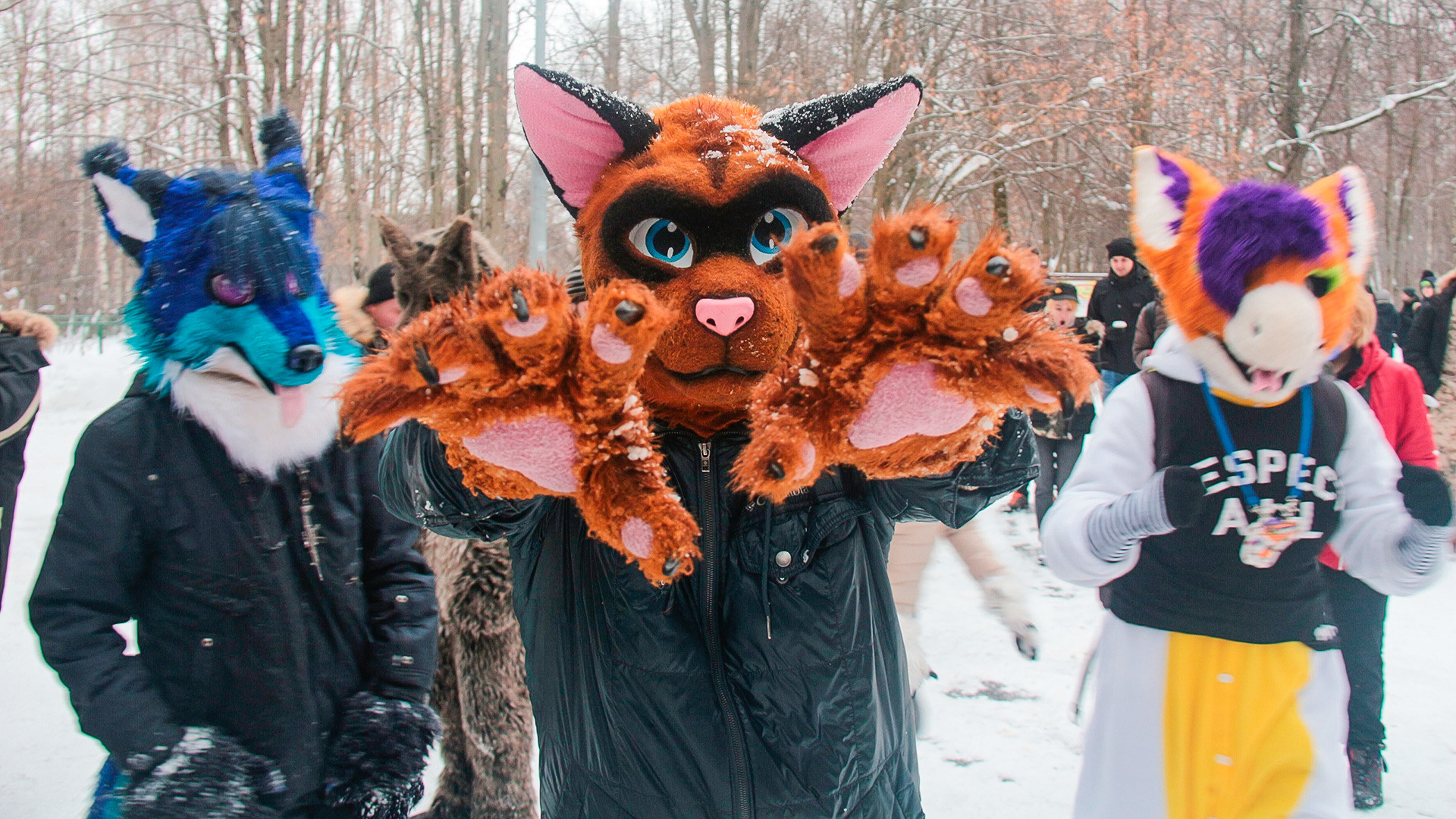 Sex Furry Costumes
